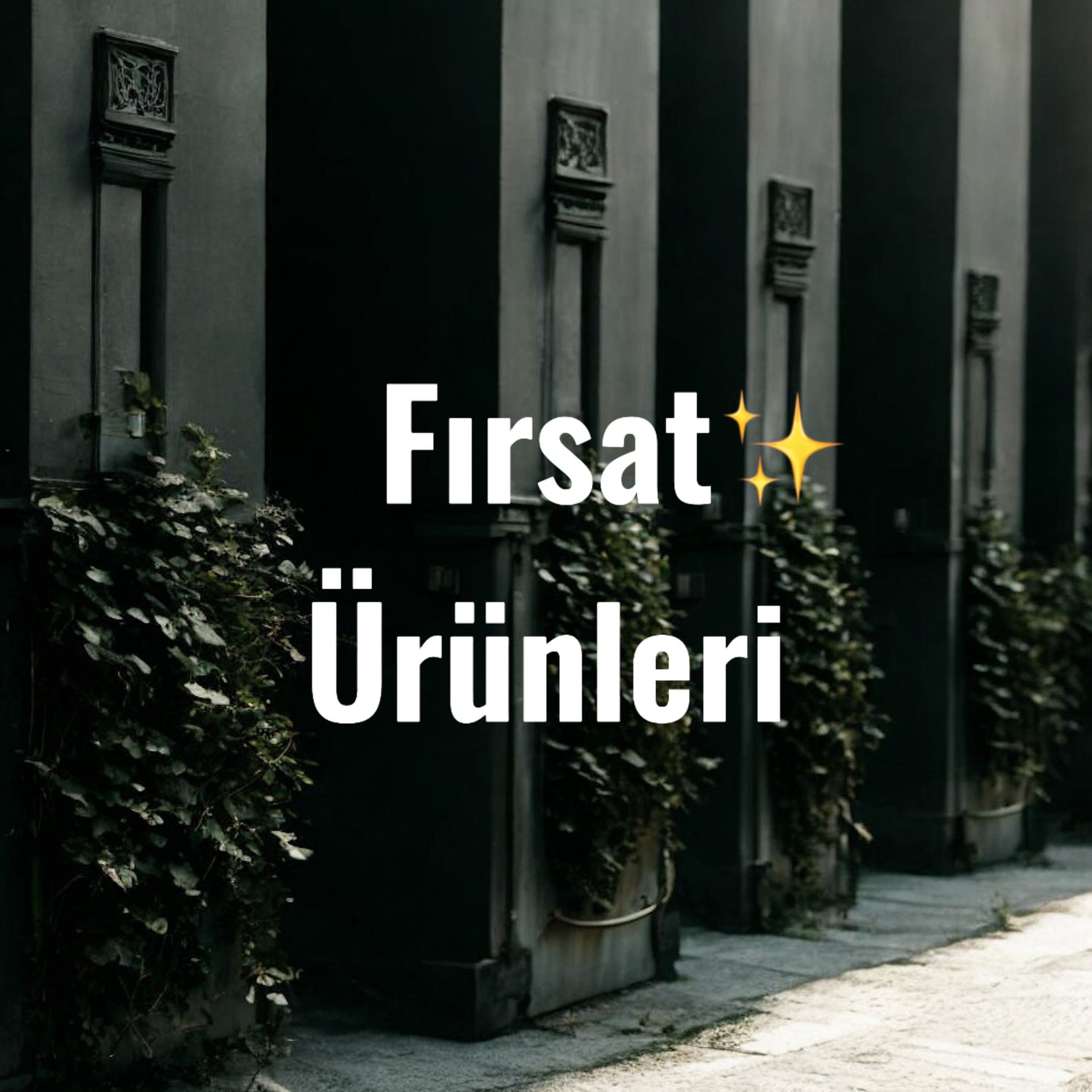 Özel Fiyatlar